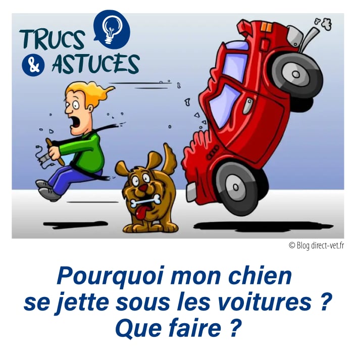 Illustration d'une voiture rouge qui freine devant un chien qui traverse devant elle