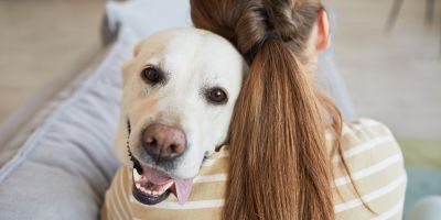 photo d'un chien blanc qui fait un câlin sur l'épaule d'une femme vu de dos