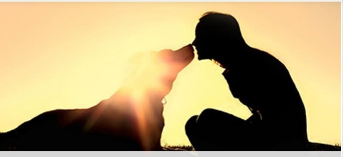 photo avec la silhouette d'un homme et d'un chien qui s'embrasse sur le nez