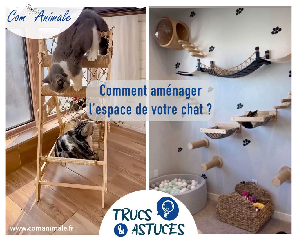 photomontage de différents éléments pour aménager l'espace pour un chat