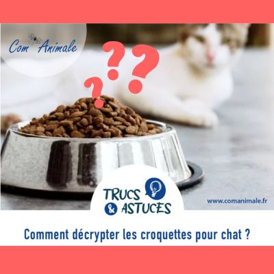 comment décrypter les croquettes pour chat