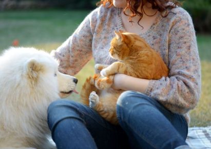 photo d'une femme qui présente son chat roux à un chien blanc