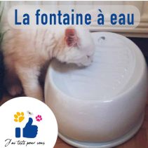 fontaine à eau pour chat