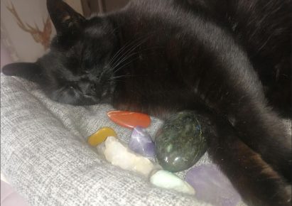 photo d'une chatte noire qui dort contre des pierres de lithothérapie